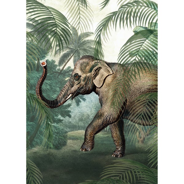 Elefant - Fototapete - 280x200 cm