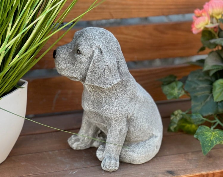 Gartenfigur sitzender Welpe in Steinoptik auf einer Holzbank neben Pflanzen.