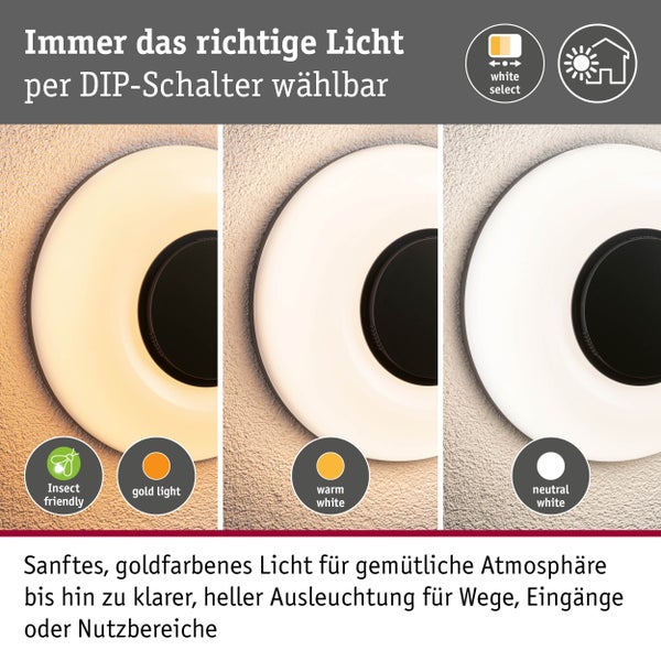 Runde Außenwandleuchte mit per Schalter einstellbaren Lichtfarben: insektenfreundliches Goldlicht, Warmweiß und Neutralweiß.