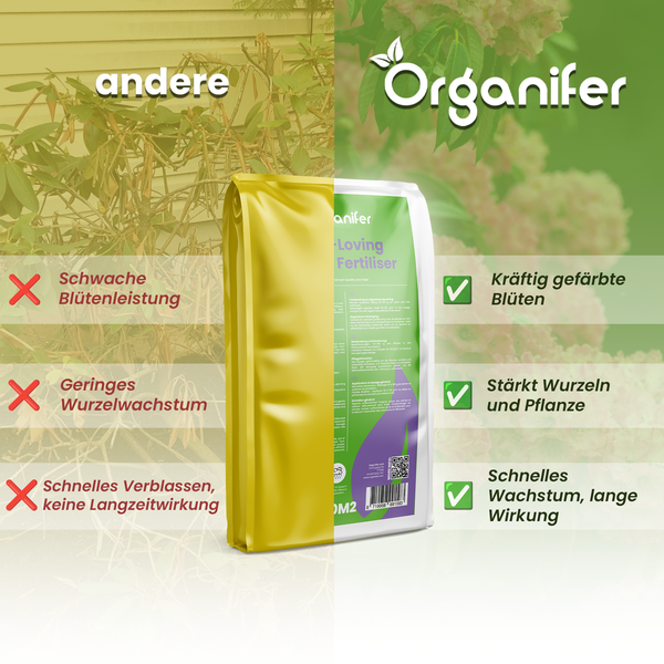 Darstellung des Organifer Düngers im Vorher-Nachher-Vergleich mit Hinweisen zu Blütenbildung, Wurzelwachstum und Langzeitwirkung