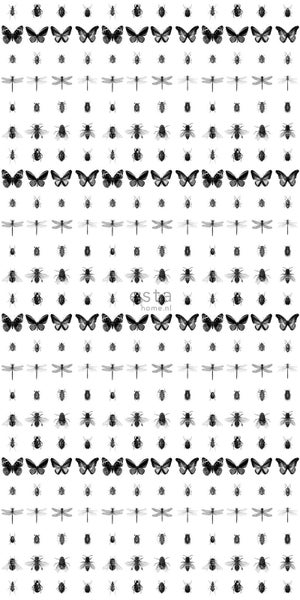 ESTAhome XXL-Vliestapete Zeichnungen von Insekten Schwarz-Weiß - 50 x 900 cm - 158827