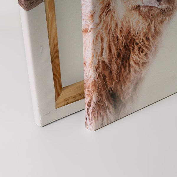 Detailansicht einer Leinwand mit dem Bild eines schottischen Hochlandrindes, Holzkeilrahmen sichtbar