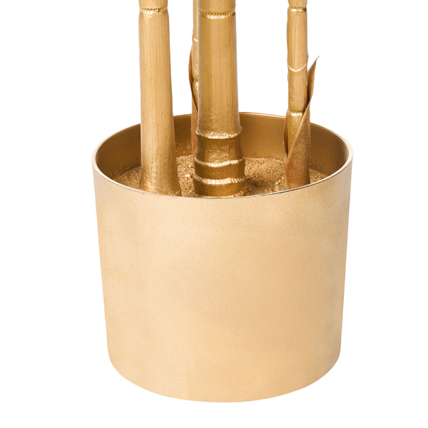 Dekorativer goldener Bambus im passenden Topf