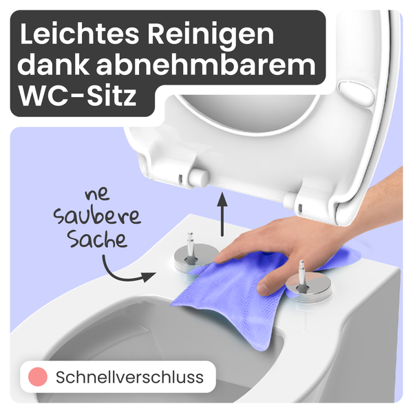 Reinigung eines WCs mit abnehmbarem WC-Sitz.