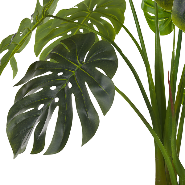 Künstliche Monstera Pflanze mit großen Blättern.