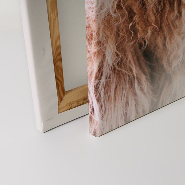 Detailansicht einer Leinwand mit Holzrahmen