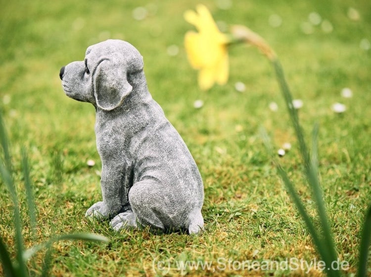 Gartenfigur in Form eines sitzenden Hundewelpen aus Stein als dekoratives Element für den Außenbereich.