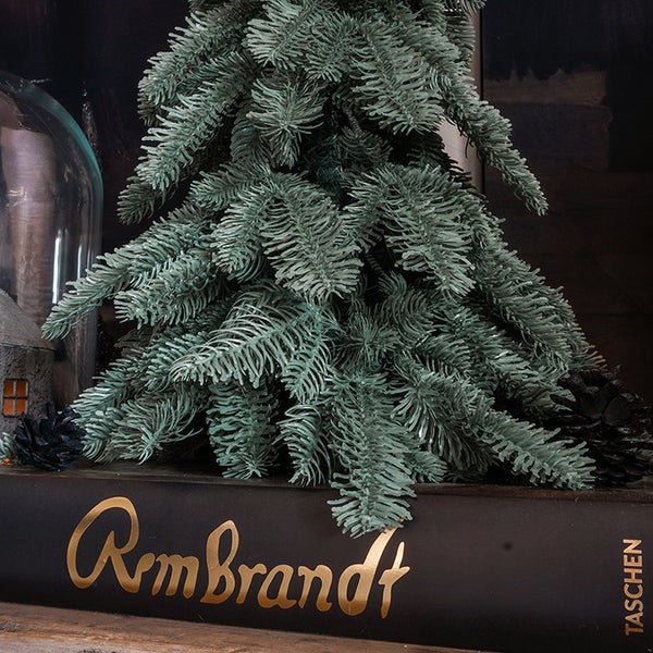Dekorativer künstlicher Tannenbaum auf einem Buch