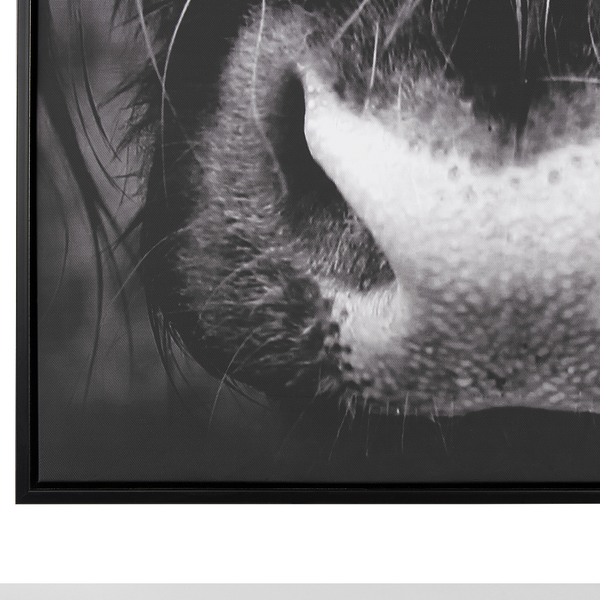 Canvas GALEATA Tiermotiv 63 x 99 cm Schwarz