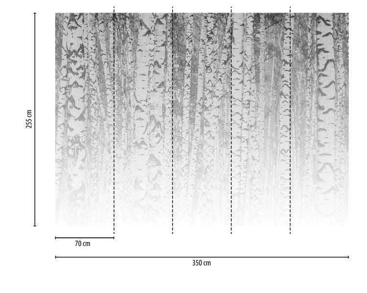 Fototapete mit Birkenwald-Motiv in Schwarz-Weiß, 350 Zentimeter breit, 255 Zentimeter hoch, bestehend aus fünf Bahnen à 70 Zentimeter.