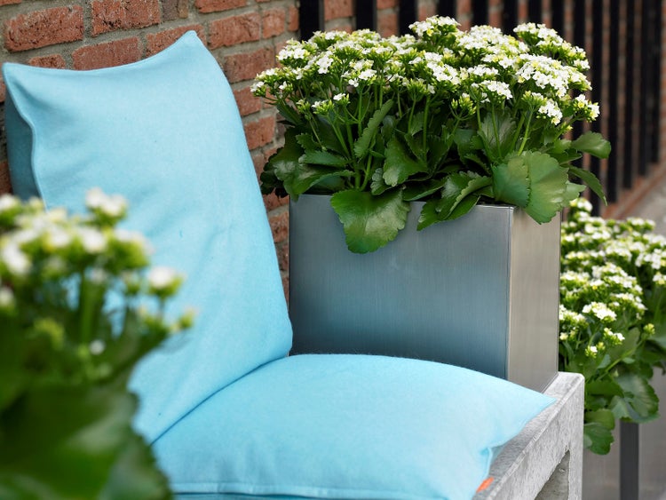 Frau auf einer Stufenleiter bei Reinigungsarbeiten an einem Traktor in einer Werkstatt.