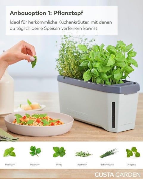 Pflanztopf mit verschiedenen Kräutern, darunter Basilikum, Petersilie, Minze, Rosmarin, Schnittlauch und Oregano, neben einem Teller Pasta