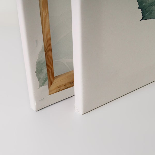 Detailansicht von zwei Leinwandbildern mit botanischem Motiv und Holzrahmen