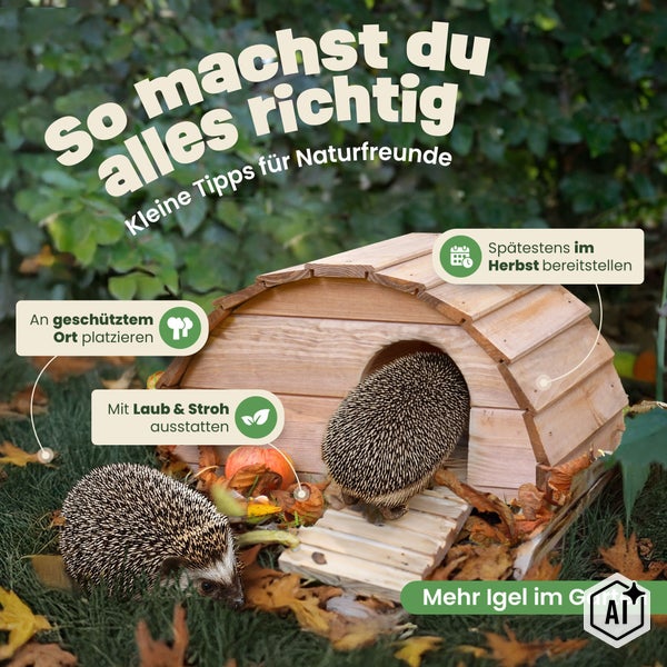 Igelhaus aus Holz für den Garten mit Tipps zum Aufstellen und Einrichten zur Unterstützung der Überwinterung von Igeln.