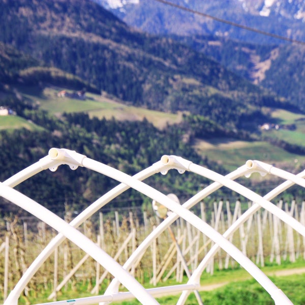 Nahaufnahme eines weißen Foliengewächshauses im Garten mit Blick auf die Berge