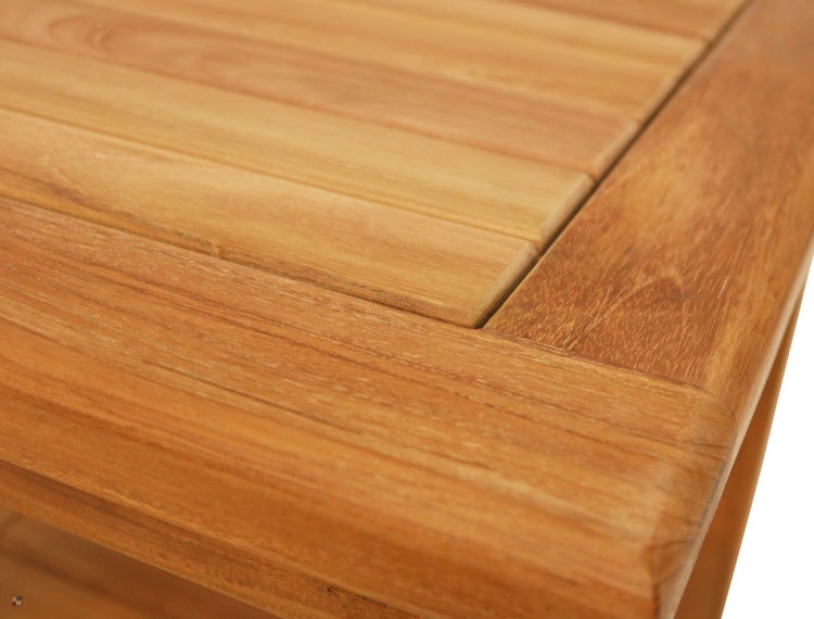 Im Bild ist eine Nahaufnahme eines immergrünen, dichten Strauches mit kleinen, glänzenden Blättern zu sehen.