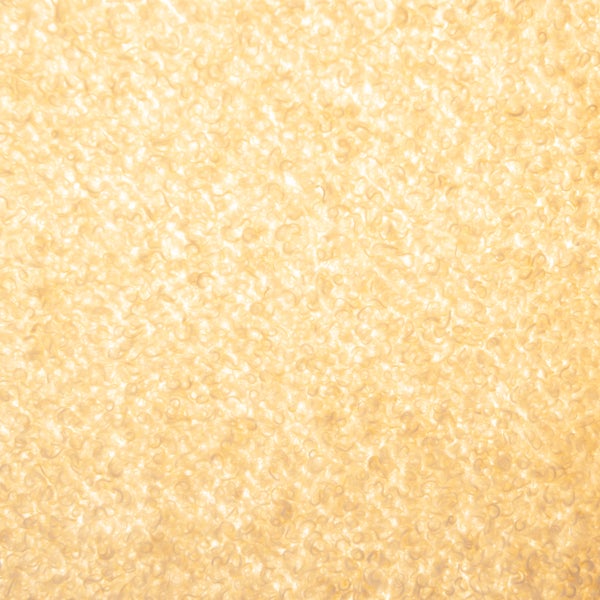 Detailaufnahme von Quinoa