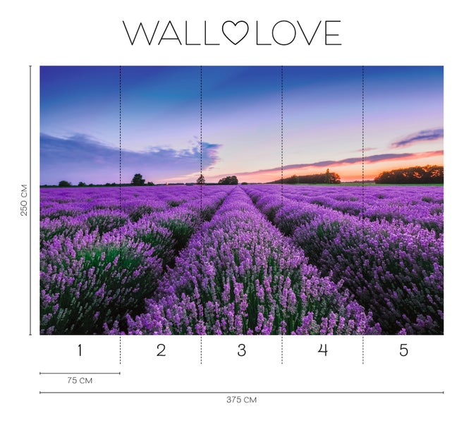 Fototapete mit Lavendelfeld bei Sonnenuntergang und Größenangaben