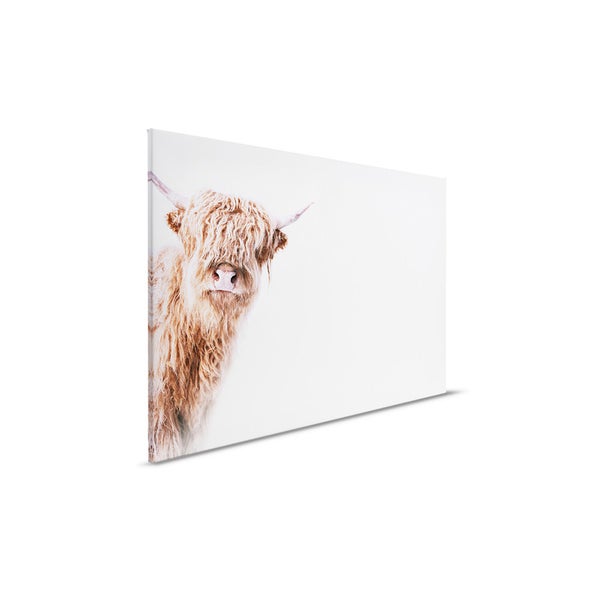 Dekorative Leinwand mit Highland Kuh Motiv
