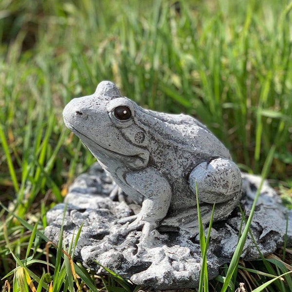 Dekorative Frosch Gartenfigur aus Stein für den Außenbereich im Gras.