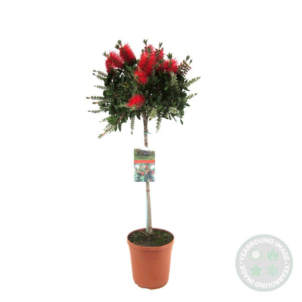 Spiralbohrer aus HSS-Stahl