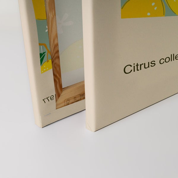 Nahaufnahme von zwei Leinwandbildern mit Holzrahmen und dem Aufdruck Citrus Collection.