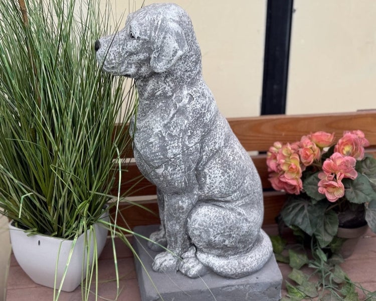 Sitzende Hundefigur aus Stein für den Garten, platziert auf einer Bank neben Topfpflanzen.