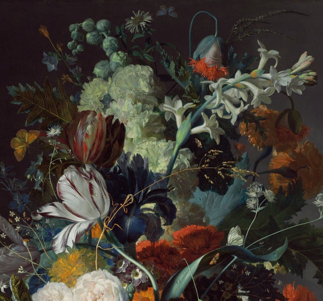 Feona Flowers - Fototapete - 280x300 cm