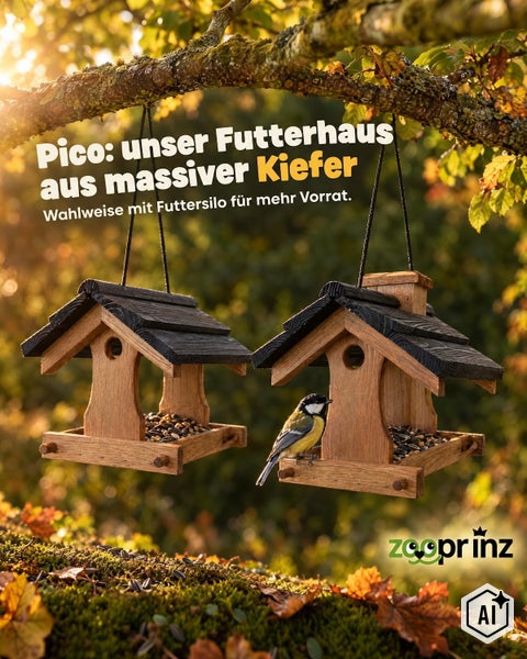 Zwei hängende Vogelfutterhäuser Pico aus massivem Kiefernholz mit einer Kohlmeise im Garten.
