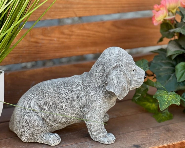 Gartenfigur Hund aus Steinguss, sitzender Welpe auf einer Holzbank neben Pflanzen.