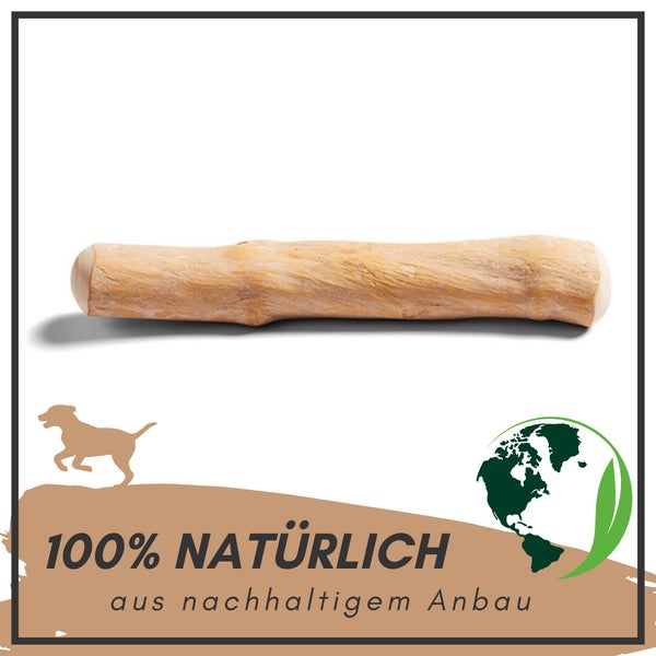 Hundekaustab aus Holz