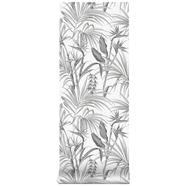 Fliegenkraut Strelitzia Bl�tter Gris