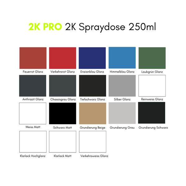 2K PRO 2 Komponenten Sprühfarbe 250ml RAL9005 Tiefschwarz Glanz