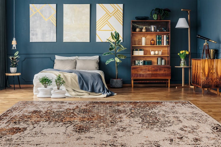 Modernes Wohnzimmer mit einem großen gemusterten Teppich im Vintage-Stil auf Holzfußboden, einem Bett, einem Holzregal und Wandbildern.