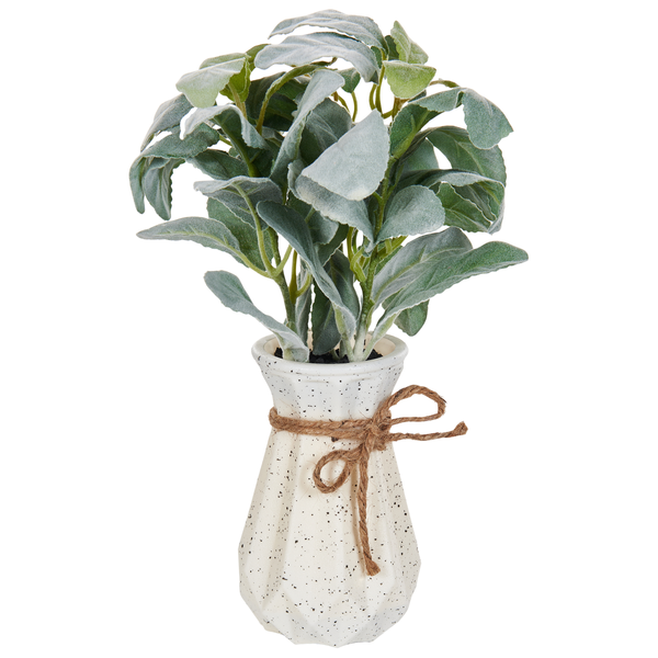 Kunstpflanze PEPEROMIA ARGYREIA 30 cm Grün