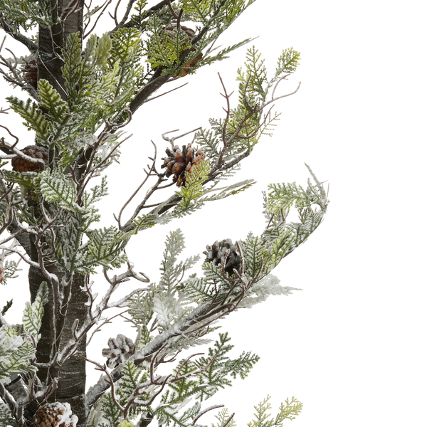 Dekorativer Nadelbaumzweig mit Zapfen für weihnachtliche Arrangements