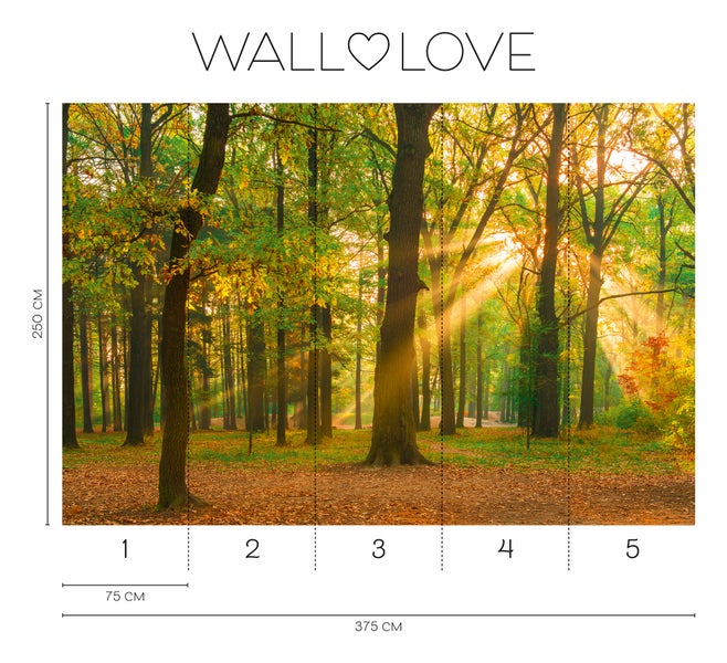 Fototapete mit Waldmotiv und Sonnenstrahlen, Abmessungen 375 cm x 250 cm