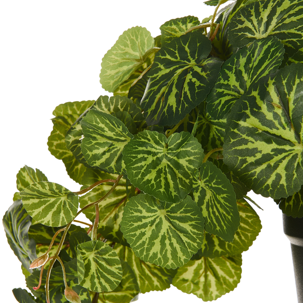 Künstliche Begonie mit gemusterten Blättern im Topf