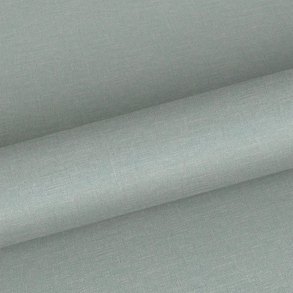 Dekorative Zimmerpflanze Bonsai im Topf auf einem Tisch