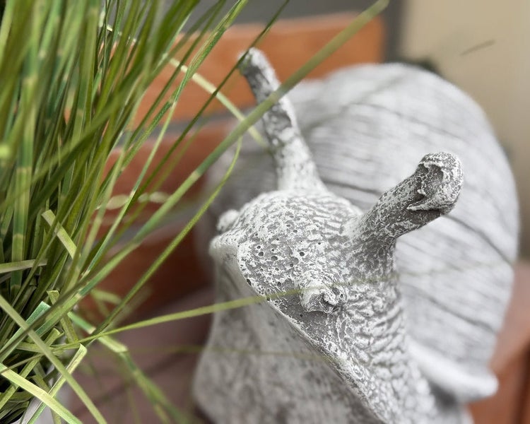 Dekorative Gartenschnecke aus wetterfestem Steinguss neben grünem Ziergras.