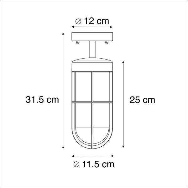 Country Exterior Deckenleuchte schwarz mit Glas IP44 - Elza