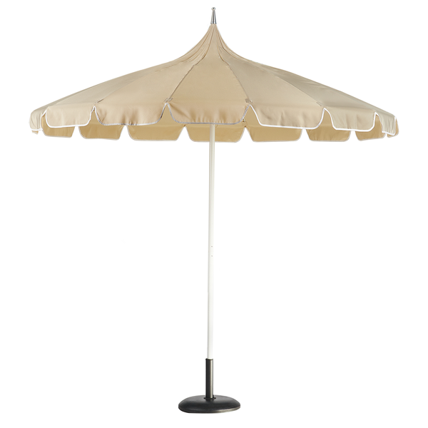 Zimmerpflanze in einem Topf