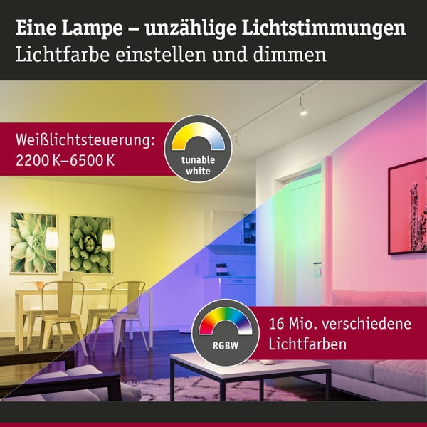 Technische Informationen und Entsorgungshinweise auf der Produktverpackung von Paulmann Licht für ein Smart Home Leuchtmittel.