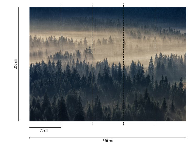 Fototapete mit nebligem Waldmotiv, 350 Zentimeter breit und 255 Zentimeter hoch, bestehend aus fünf Bahnen à 70 Zentimeter.