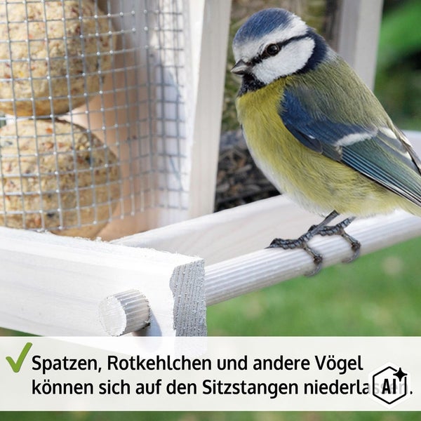 Blaumeise sitzt auf der Sitzstange eines hölzernen Vogelfutterhauses mit Meisenknödelhalter.
