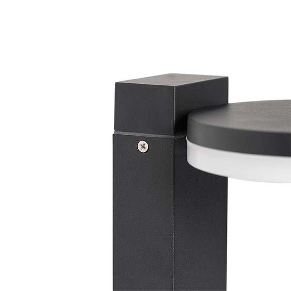 Küche mit Spüle, Arbeitsplatte, Küchenutensilien und Katze vor dem Fenster