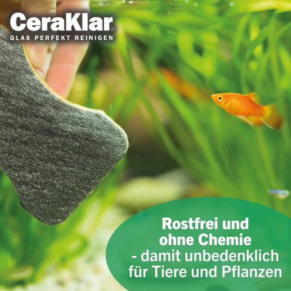 Reinigungspad für Aquariumglas von CeraKlar, rostfrei und chemiefrei, sicher für Fische und Wasserpflanzen.