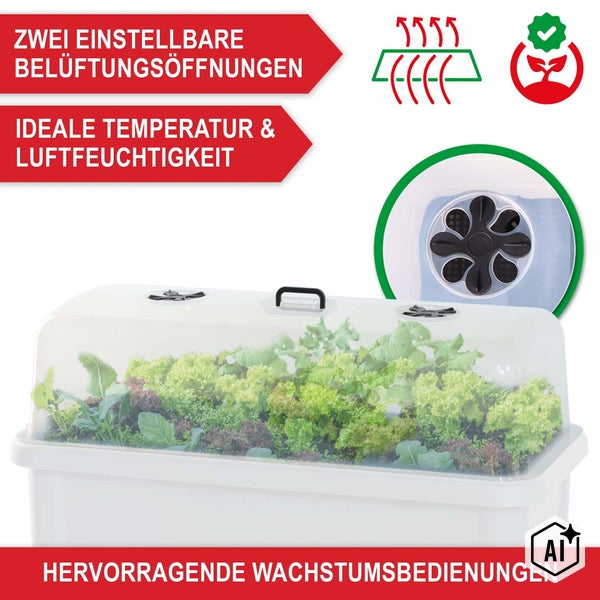 Zimmergewächshaus mit zwei einstellbaren Belüftungsöffnungen für optimale Temperatur und Luftfeuchtigkeit zur Förderung des Pflanzenwachstums.