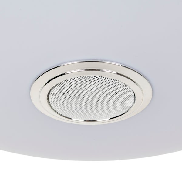 Deckenlautsprecher mit Gitter