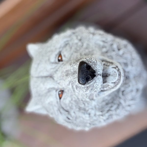 Steinfigur Wolfskopf für den Garten als dekorative Dekofigur aus wetterfestem Material